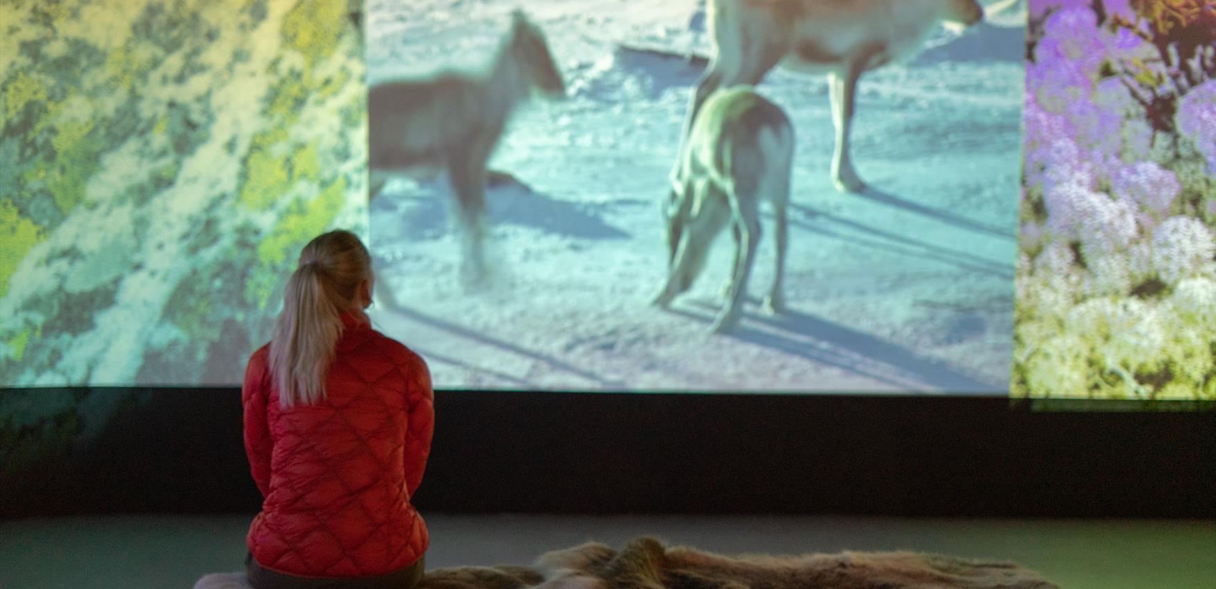 Hardangervidda Nasjonalparksenter - ser på film